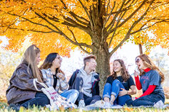 A group of students sits under a tree with bright yellow leaves.
